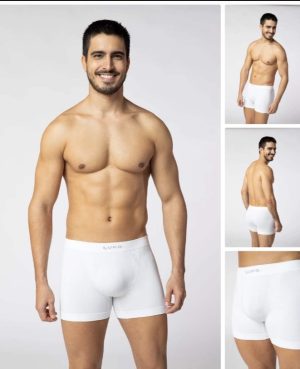 Cueca Boxer Micrommodal Sem Costura Lupo